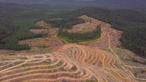 Räumung-Einer-Ölpalmenplantage-Zur-Neuanpflanzung-In-Kedah,-Malaysia,-Südostasien.